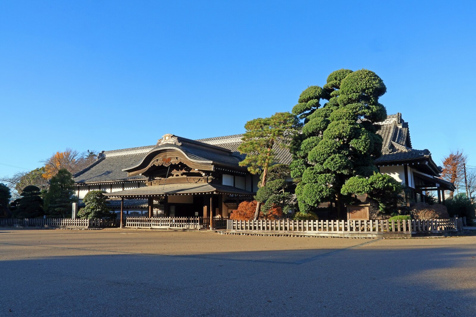 写真