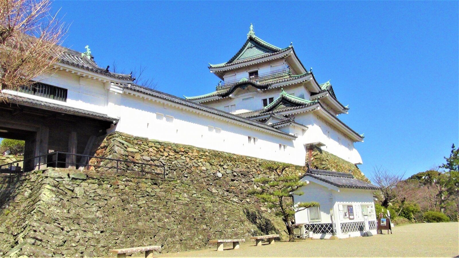 写真