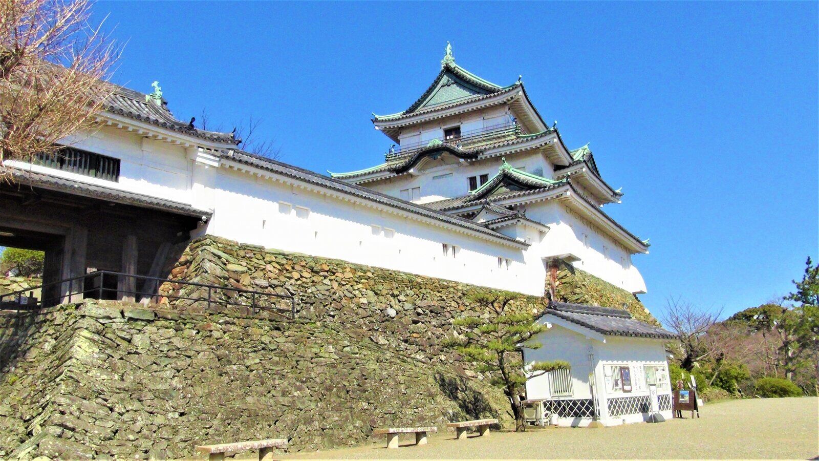 写真