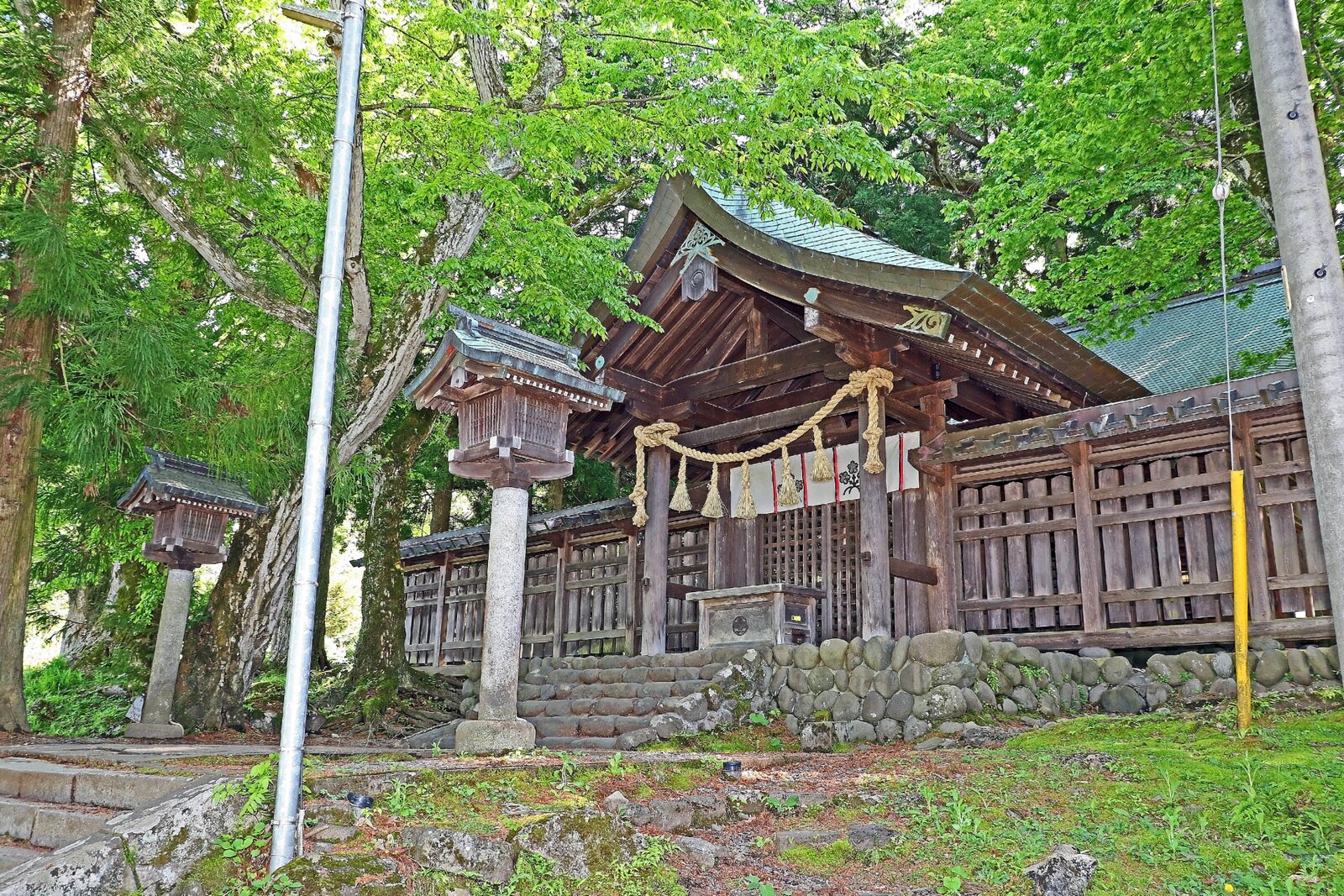 写真