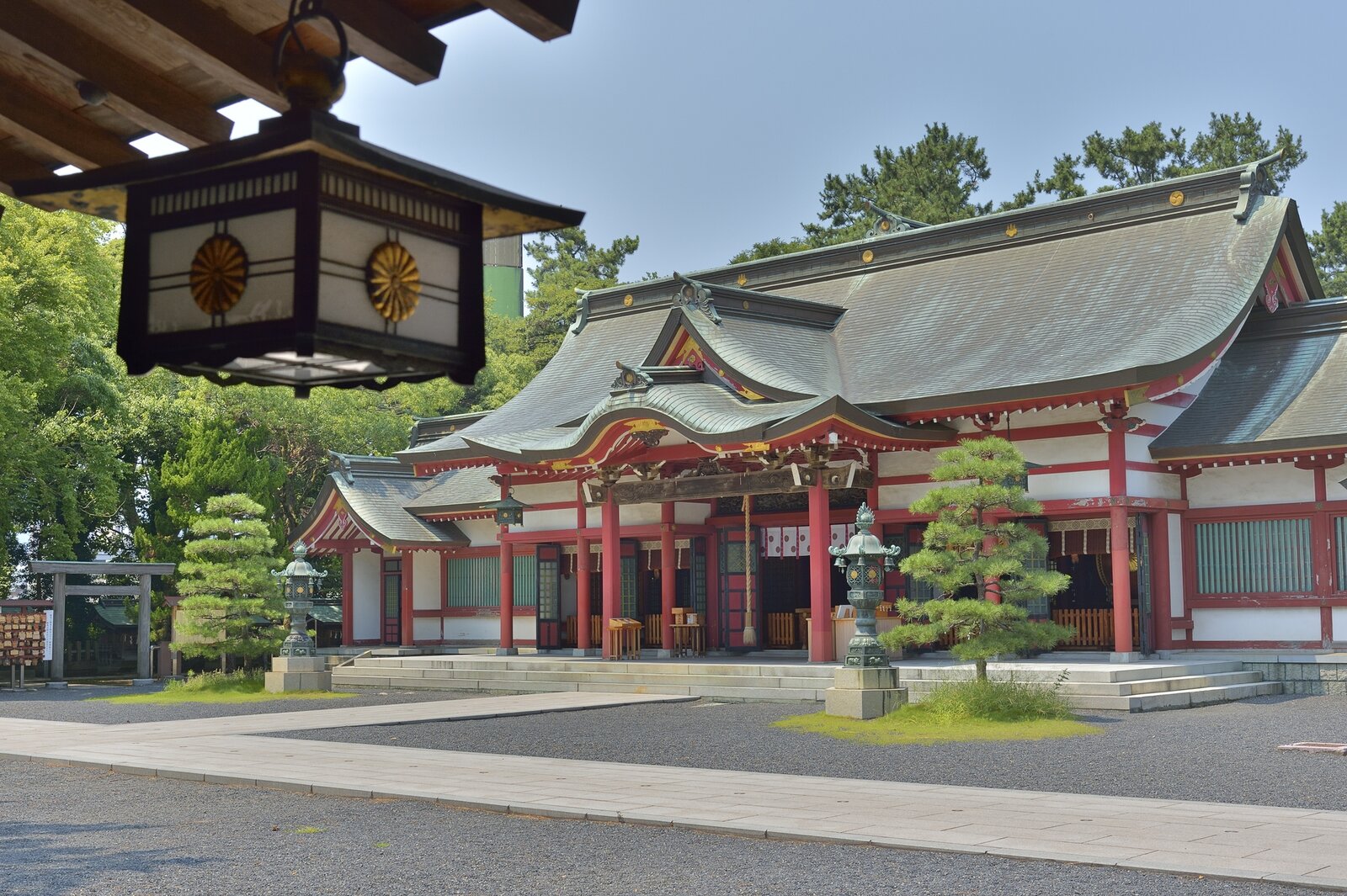 写真