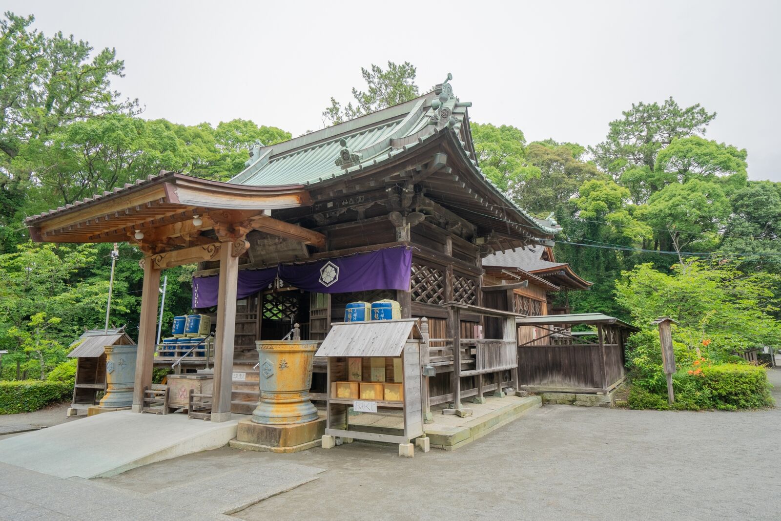写真