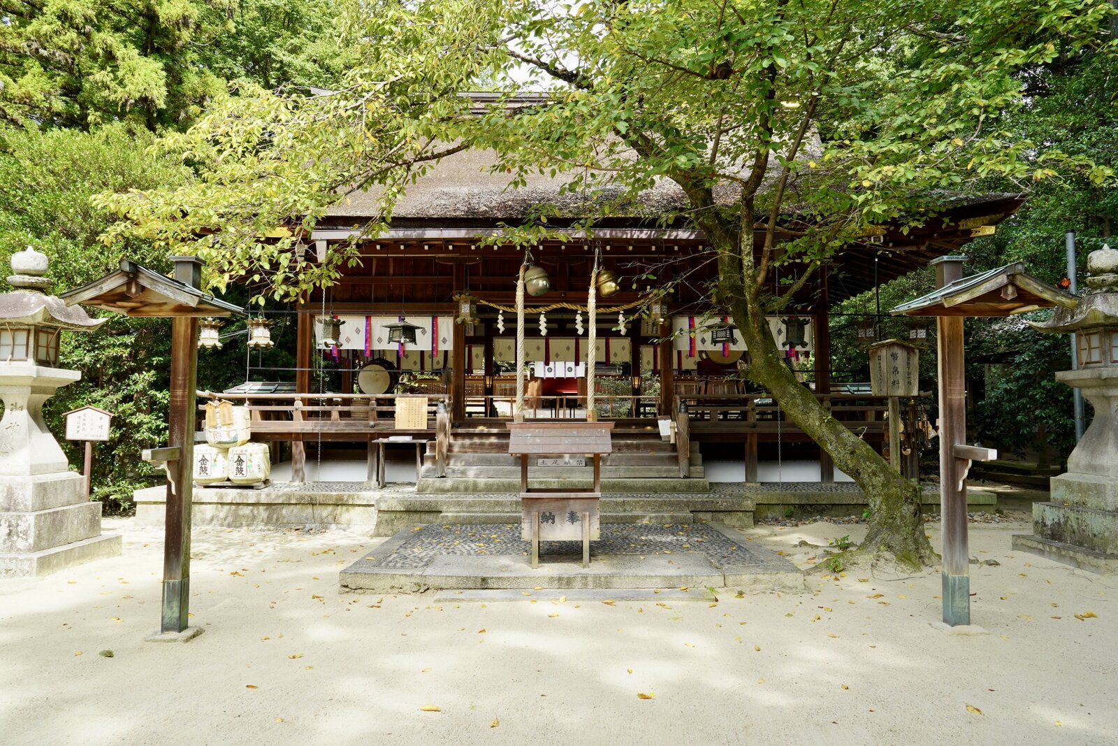 写真
