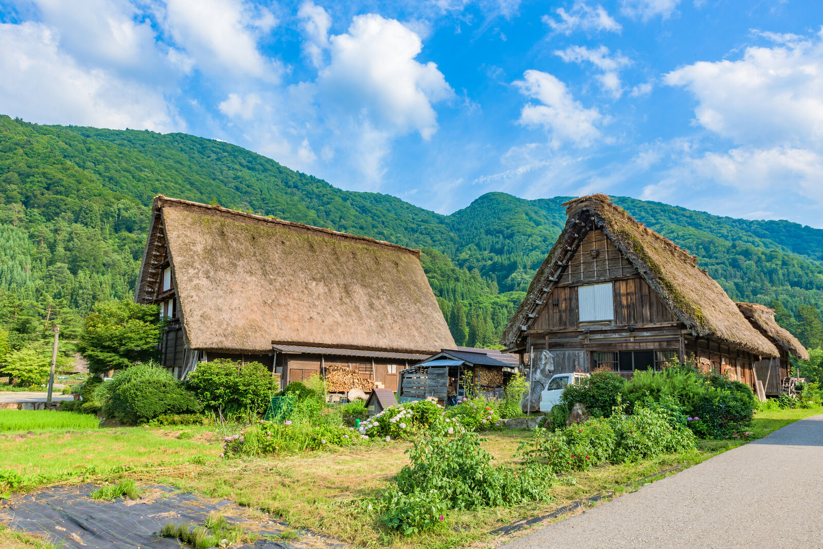 写真
