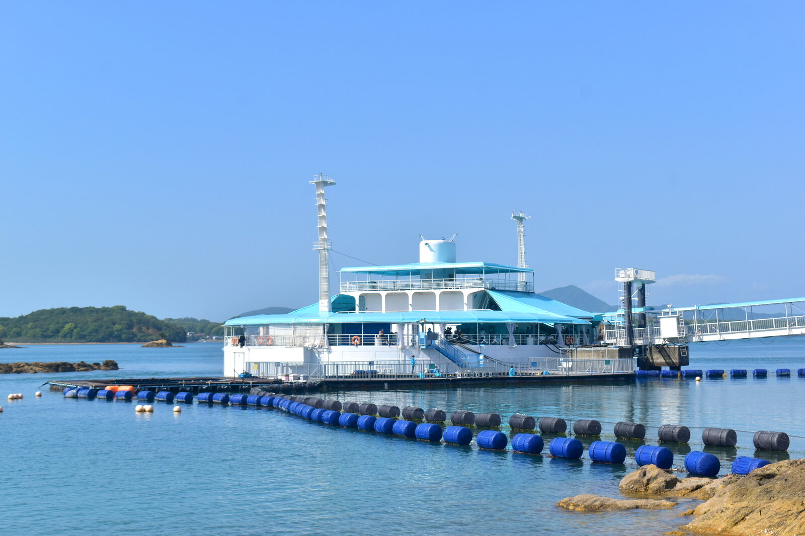 写真