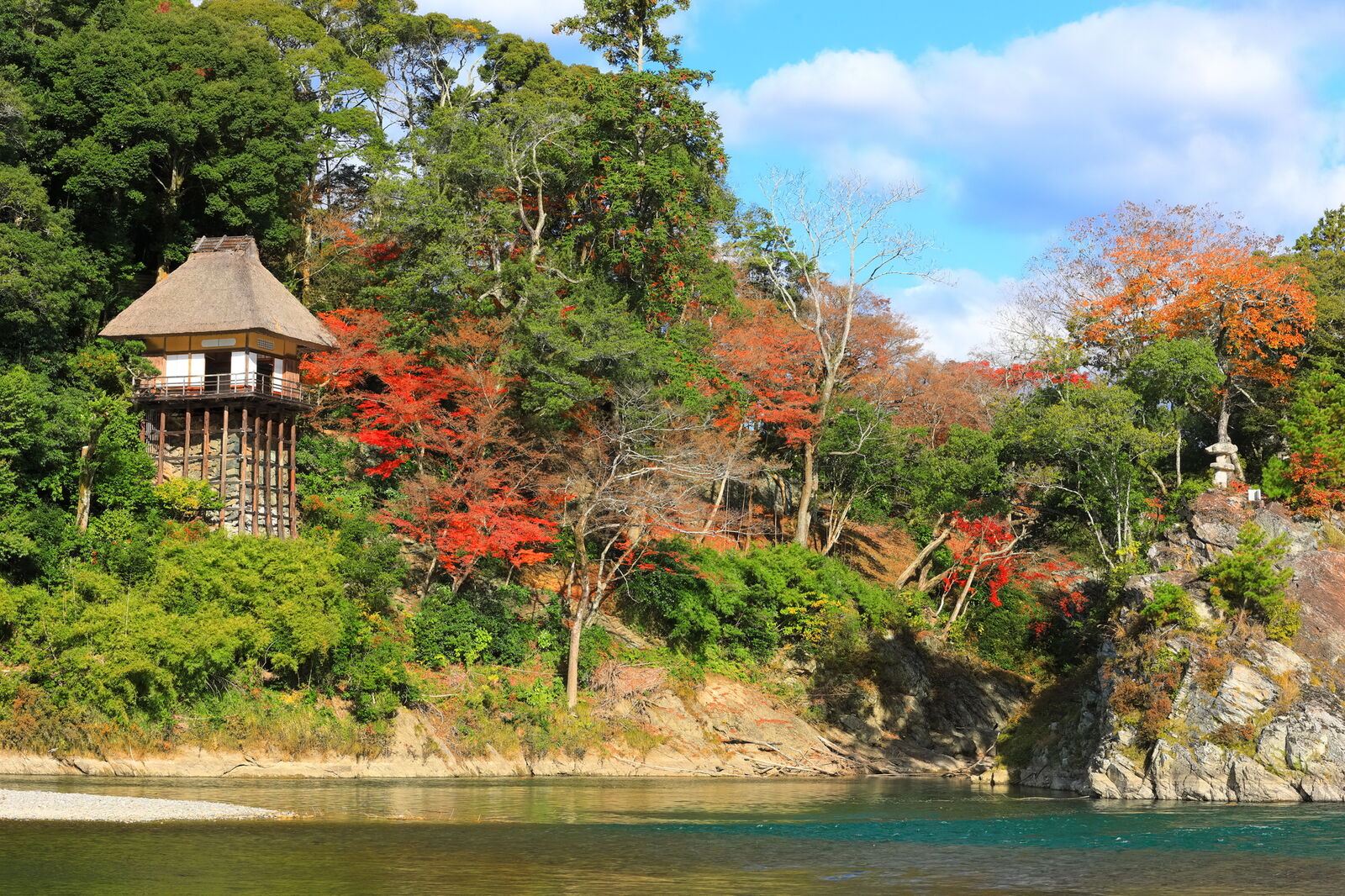 写真