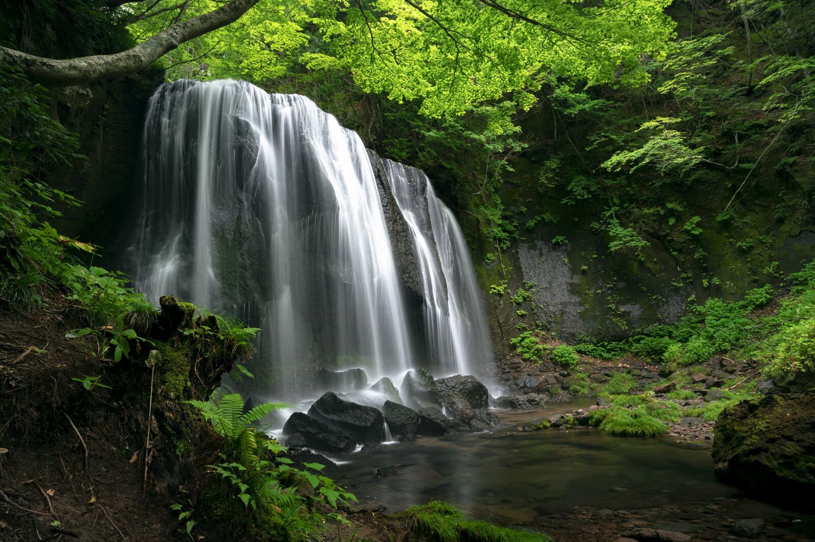 写真